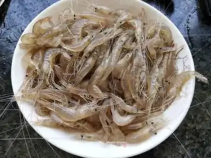 Make Shrimp step 0
