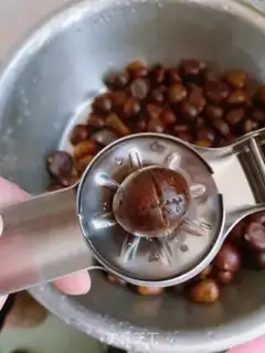 Make Chestnut step 1