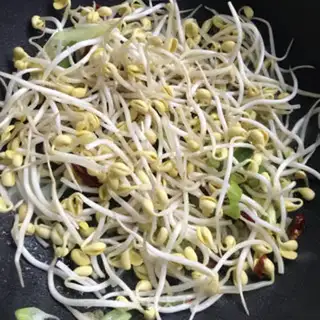 Make Soybean sprouts step 4