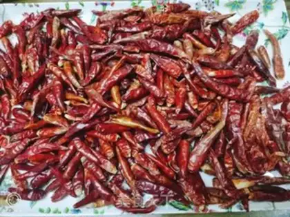 Make Homemade chili step 0