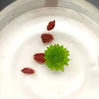 Make Lotus heart tea step 6