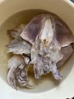 Make Ink fish dry mushroom chicken soup step 0