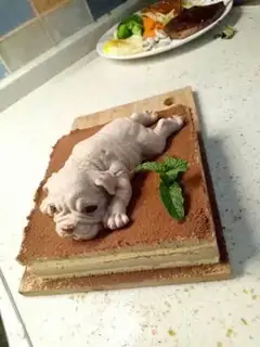 Make Cream chestnut mud mousse puppy step 20