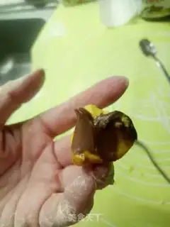 Make Chestnut pumpkin step 8