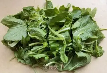Make Tofu-curd oil seedlings step 1
