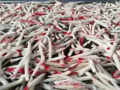 Make Zip dry step 2