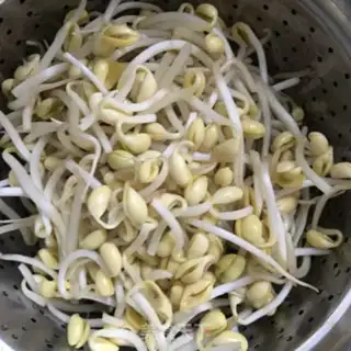 Make Tofu sprouts step 0