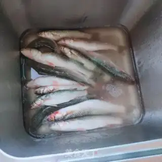 Make Jealousy and fish step 0
