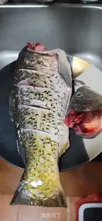 Make Carp step 0