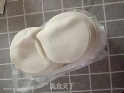 Make Pork dumplings step 0