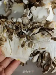 Make Sodium tree flowers step 1