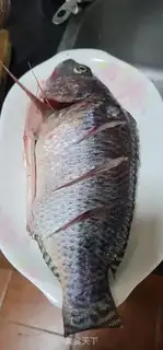 Make The saloon fish step 0
