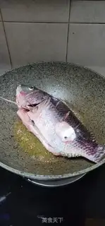 Make The saloon fish step 2