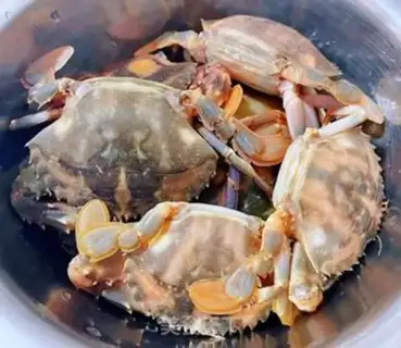 Make Crab fried eggs step 1