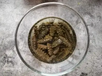 Make Bubble sea cucumber step 1