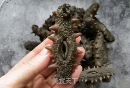 Make Bubble sea cucumber step 4