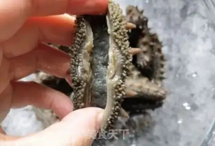 Make Bubble sea cucumber step 6
