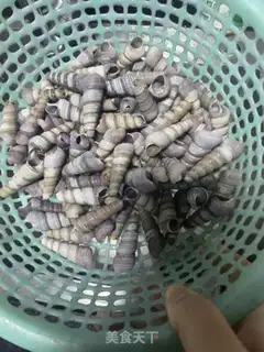 Make A boiled conch step 1
