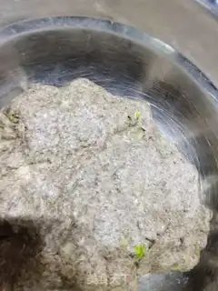 Make Onions of all wheat cookies step 3
