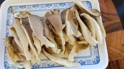 Make Blow the mushrooms step 0
