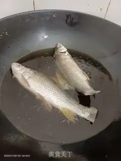 Make Fish step 2