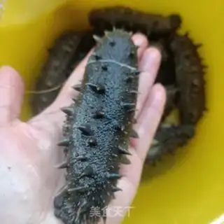 Make Lettuce with sea cucumber step 1