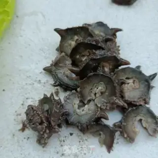 Make Lettuce with sea cucumber step 4