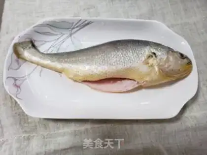 Make Slurpy yellow fish step 0