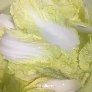 Make Meatball fan cabbage step 2