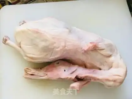 Make Burn the duck step 0