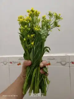 Make Clean up the oily oily flowers step 0
