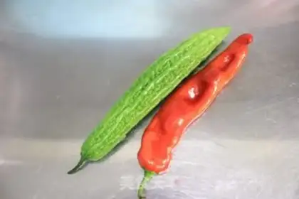 Make Chili made bitter melons step 0