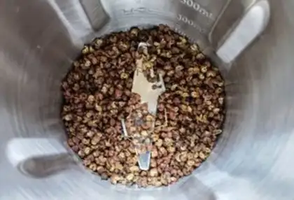 Make Homemade pepper powder step 5