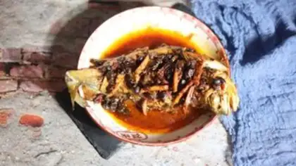Make Red-burned yellowfish step 5