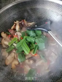 Make Fried mushrooms step 5