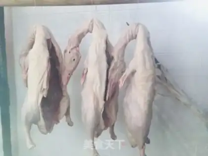 Make Home-based duck step 1
