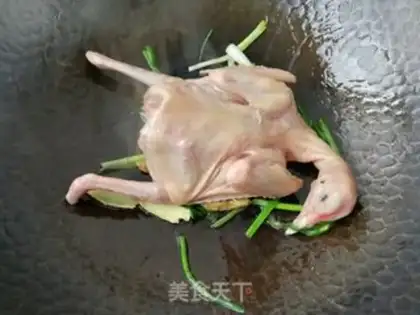 Make Red burning pigeons step 2