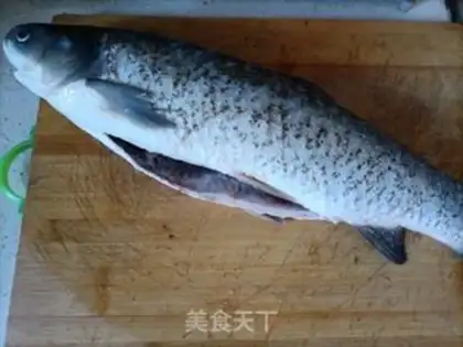 Make Cinderfish step 0