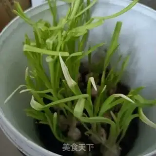 Make Garlic cream for the heart step 0