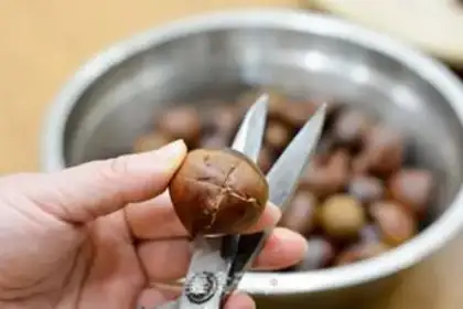 Make Old hen stews chestnuts step 0