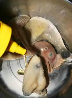 Make step 5
