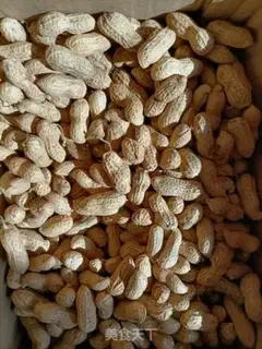 Make Phalogen peanuts step 0