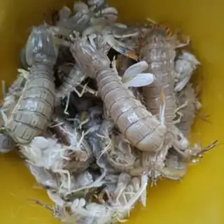 Make Spicy leather shrimp step 1
