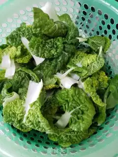 Make Yellow cabbage