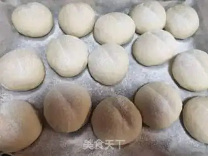 Make WHITE P.P. BREAD step 8