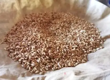 Make Rice tea step 4