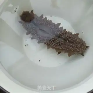 Make Collapse and sea cucumber step 4
