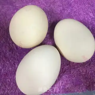Make Eggs and shrimp step 1