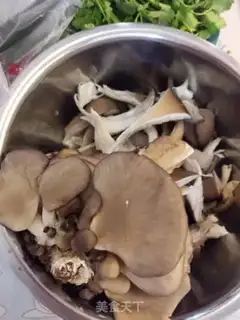Make The magic of mushrooms step 0