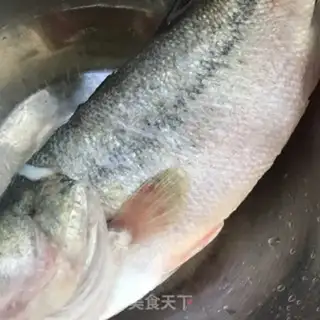 Make "Fish" every year step 0